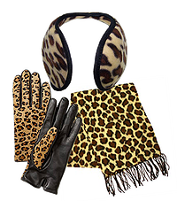 leopard accessories.fw