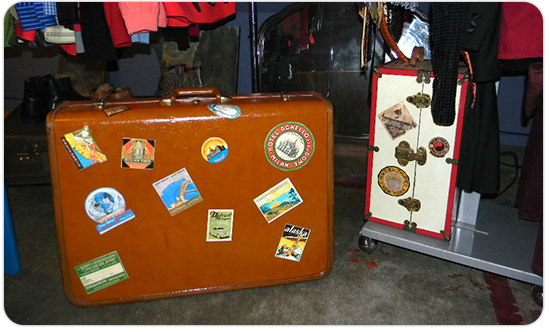 stylish suitcase
