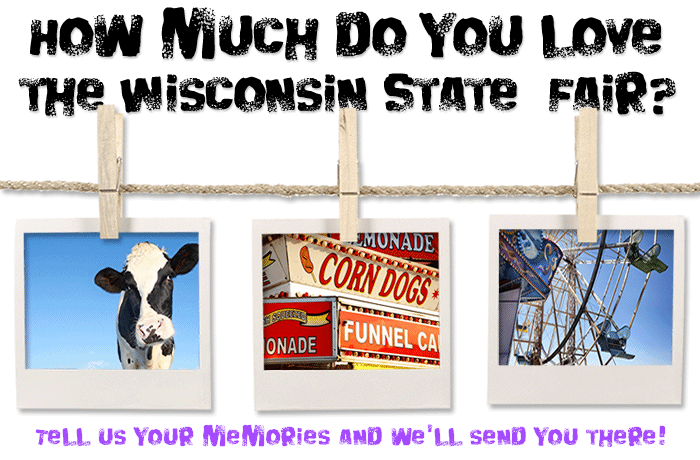 Goodwill's State Fair Memory Contest